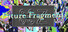 Future Fragments - Command Z