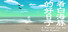 看白海豚的好日子 A Perfect Day for White Dolphin