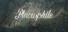 Pluviophile