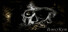 Awoken: Chapter One of Reverie