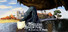 Timeless Adventure: A Journey To Begin