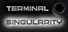 Terminal Singularity