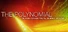 The Polynomial