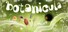 Botanicula