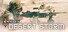 Conflict Desert Storm