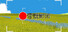 带摄影师