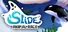 Slide - Animal Race