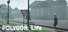 POLYGON: Life