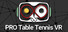 Pro Table Tennis VR