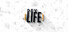 DevLife