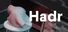 Hadr