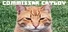 Commissar Catlov