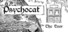 Psychocat: The Door