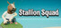 Stallion Squad