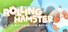 Rolling Hamster