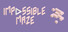Impossible Maze