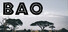 BAO