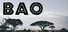 BAO