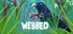 Webbed