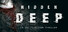 Hidden Deep