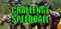 Challenge Speedball