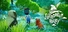 Everdream Valley