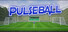 Pulseball