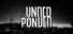 Underponder