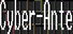 Cyber-Ante