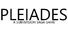 Pleiades - A Subversion Saga Game