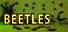 BEETLES