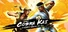 Cobra Kai: The Karate Kid Saga Continues