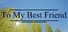 To My Best Friend