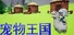 枪林弹雨