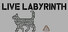 Live Labyrinth