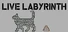 Live Labyrinth
