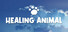 Healing Animal