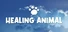 Healing Animal