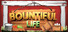 Bountiful Life