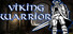 Viking Warrior