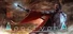 Apocrypha