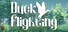 Duck Flight Simulator 2021