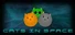 Cats In Space