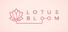 Lotus Bloom