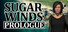 SugarWinds: Prologue