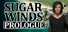 SugarWinds: Prologue
