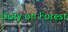 Duty in the Forest