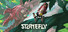 Stonefly