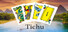 Tichu