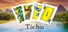 Tichu